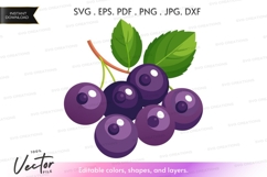 Blueberries vector clipart Product Image 1
