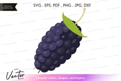 Mulberry cluster vector clipart Product Image 1