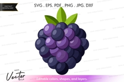 Blackberry cluster vector clipart Product Image 1