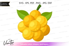 Oranges vector clipart Product Image 1