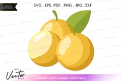 Vector clipart of oranges Product Image 1
