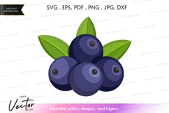 Fresh blueberries vector clipart Product Image 1