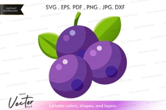 Blueberries vector clipart Product Image 1
