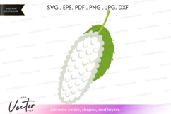 Bitter melon vector clipart Product Image 1