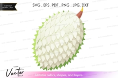 Durian fruit vector clipart Product Image 1