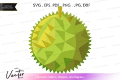 Durian fruit vector clipart Product Image 1