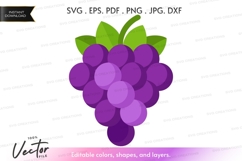 Grapes cluster vector clipart Product Image 1