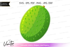 Durian fruit vector clipart Product Image 1