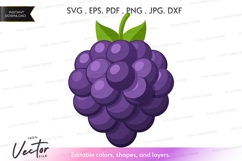 Vector clipart of a blackberry Product Image 1