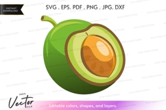 Vector clipart of a coconut Product Image 1