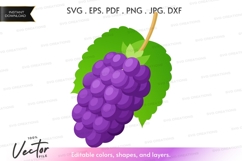 Purple grapes with leaves vector clipart Product Image 1