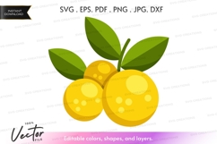Oranges with leaves vector clipart Product Image 1