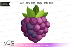 Plump blackberry vector clipart Product Image 1