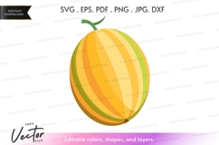 Vector clipart of a cantaloupe Product Image 1