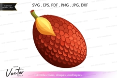 Red mango vector clipart Product Image 1