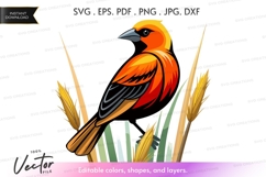 Vector silhouette of a bird Product Image 1