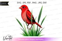 Red bird in grass Product Image 1