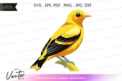 Yellow and black bird on a branch Product Image 1