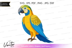 Colorful parrot vector silhouette Product Image 1