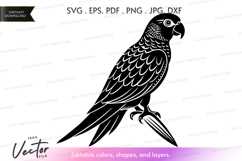 Vector silhouette of a parrot Product Image 1