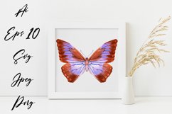 Butterfly - vector watercolor Product Image 1
