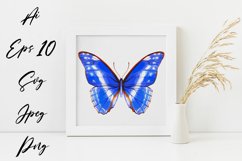 Butterfly - vector watercolor Product Image 1