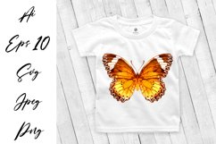 Butterfly - vector watercolor Product Image 1