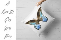 Butterfly - vector watercolor Product Image 3