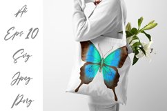 Butterfly - vector watercolor Product Image 3