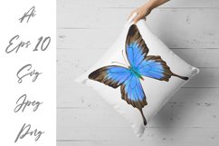 Butterfly - vector watercolor Product Image 3