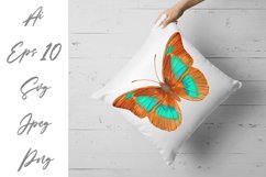 Butterfly - vector watercolor Product Image 3