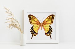 Butterfly - vector watercolor Product Image 2