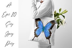 Butterfly - vector watercolor Product Image 4