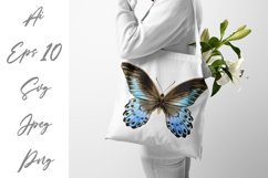 Butterfly - vector watercolor Product Image 2