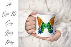 Butterfly - vector watercolor Product Image 6