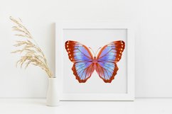 Butterfly - vector watercolor Product Image 2