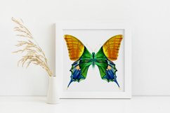 Butterfly - vector watercolor Product Image 3