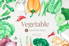 Watercolor Vegetable Clipart, Tomato,PNG Product Image 1