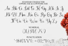 Vegetable Handmade Product Image 7