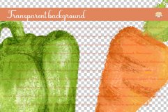 Vegetables Chalk Style Illustration Collection Product Image 3