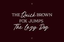Vell Racaty Classic Luxury Font Duo Product Image 4