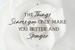 Vell Racaty Classic Luxury Font Duo Product Image 5