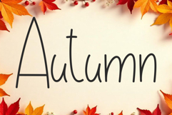 Velocity Product Image 2