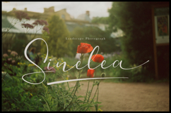 Veloncy Claus | Classic Signature Script Product Image 2