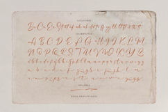 Veloncy Claus | Classic Signature Script Product Image 12