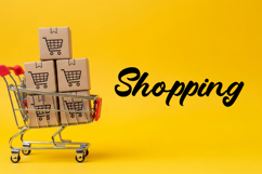 Velora - Modern Script Font Product Image 4