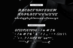 Velora - Modern Script Font Product Image 6