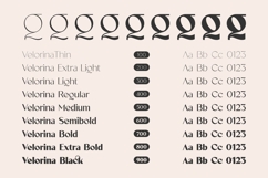 Velorina - Elegance Minimalist Font Product Image 3