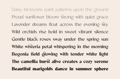 Velorina - Elegance Minimalist Font Product Image 7