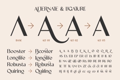 Velorina - Elegance Minimalist Font Product Image 9